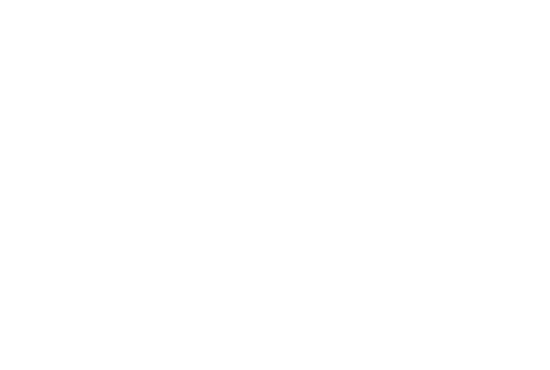 Lecythus Navis Logo