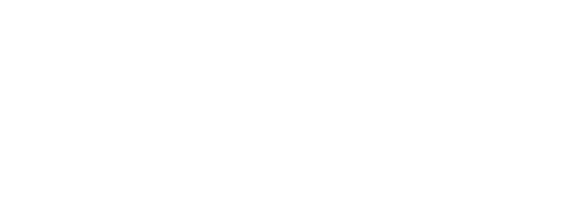 Ministro Logo