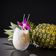 METROPOLITAN GRILL Piña Colada
