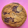 Brown Butter Chocolate Chip Cookie