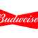 Budweiser Lager