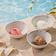 Ice cream & Sorbet selection