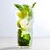 Plain Mojito