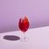 Bloody Shiraz Gin Spritz - ON TAP