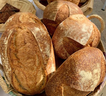 Sourdough Bread