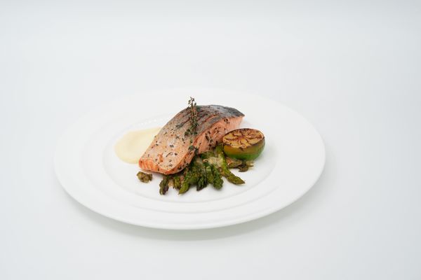 Salmon