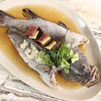 Live Grouper