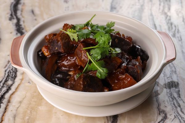 Braised Beef Brisket Tendon